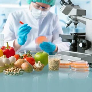 Выбор пищевых продуктов