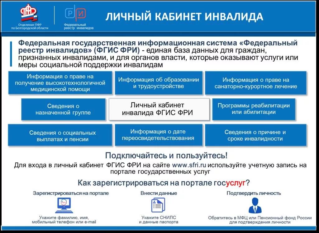 Федеральный реестр инвалидов схема. Личный кабинет инвалида. Федеральный реестр инвалидов личный кабинет. Сайт инвалидов личный кабинет