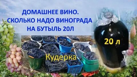 Сколько вина из 1 кг винограда