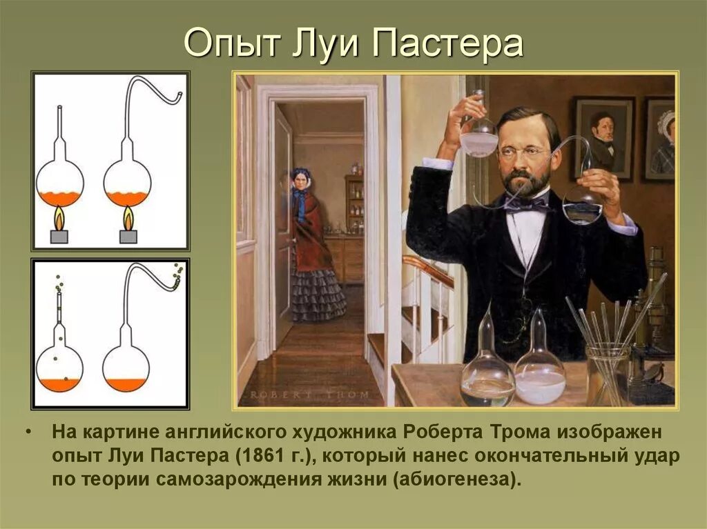 Какие опыты показали невозможность самозарождения. Гипотеза самозарождения Луи Пастер. Опыт Луи Пастера. Луи Пастер самозарождение жизни. Гипотеза самозарождения опыты Луи Пастер.