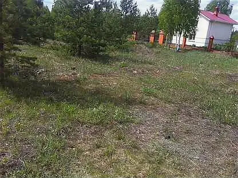 Снт тюльпан йошкар-ола. Снт тюльпан йошкар-ола. 12 участок йошкар ола. Устав снт коммунальник йошкар-ола. Шоя кузнецово йошкар ола.