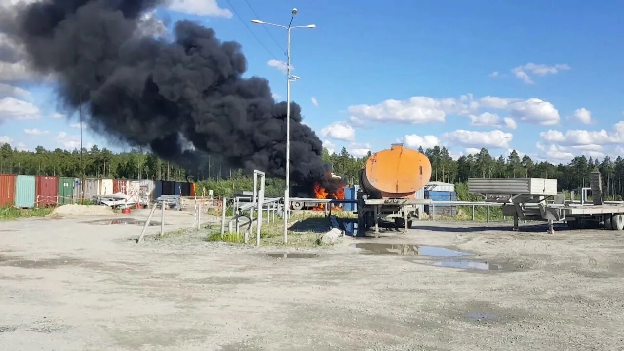 Салым Петролеум месторождение. Месторождение Салым Петролеум Девелопмент. Салым Петролеум медведь.