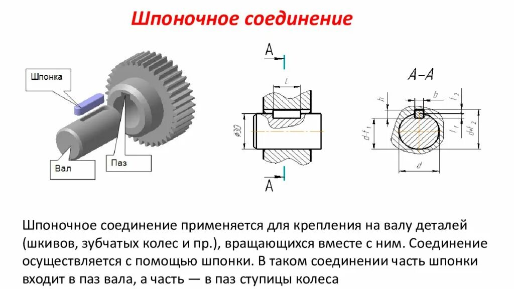 По внутренней поверхности гладкой. Соединение шпонки с валом чертеж. Соединение зубчатого колеса с валом редуктора. Шпоночное соединение на валу чертеж. Шпоночное соединение вал редуктора чертеж.