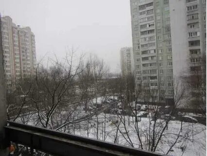 Бул филевский