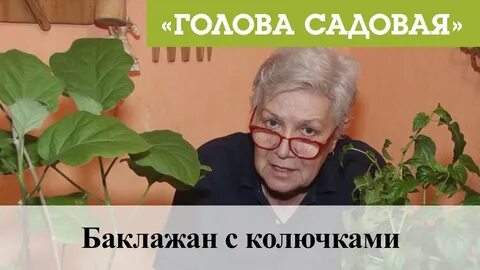 Голова садовая тетя