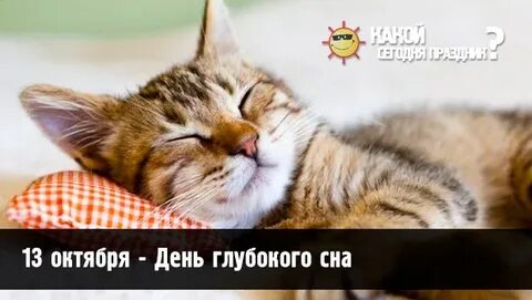Сон 13