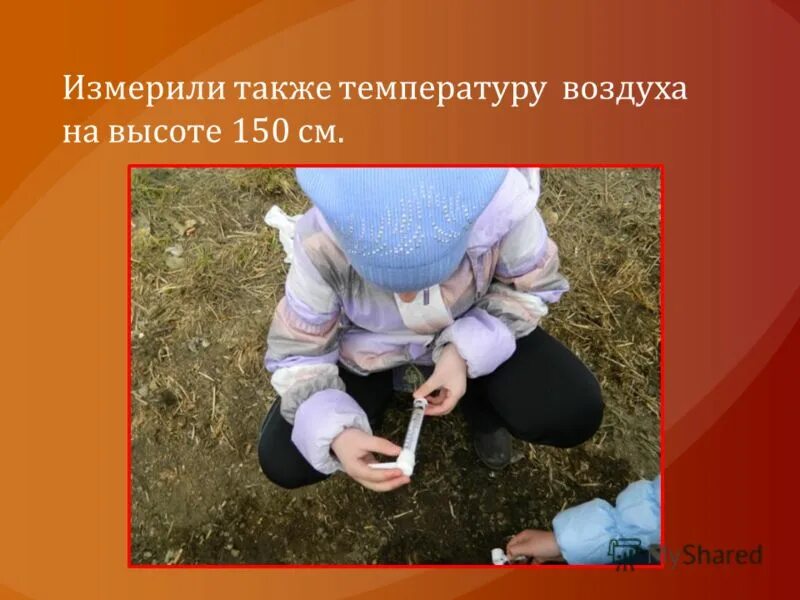 Почвы по плодородности. Почвы по плодородности. Численность микроорганизмов в почве. Почвенный воздух. Влияние грунта на рост растений.