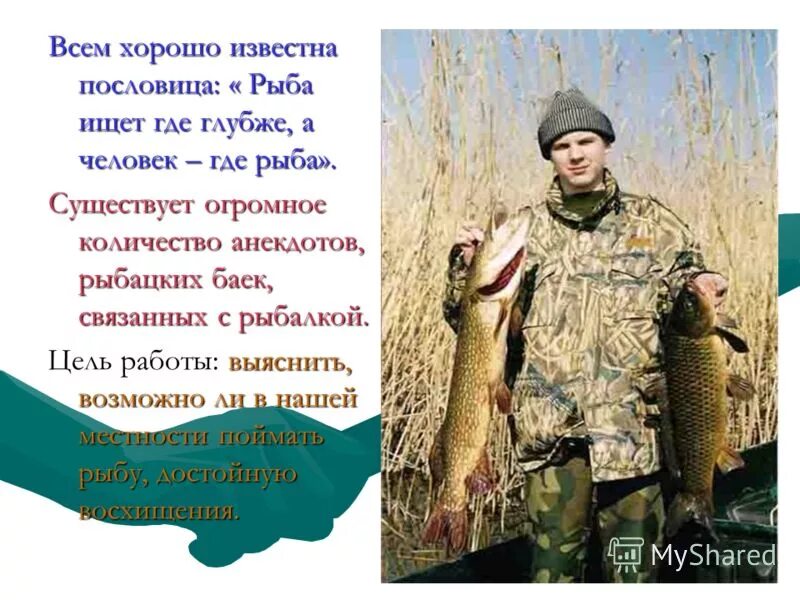 большим крючком маленькую рыбу не поймаешь. поговорки про рыбу. пословицы и поговорки о рыбалке. пословицы про рыбу. пословицы и поговорки о рыбе.