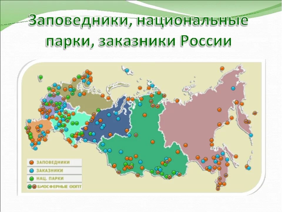 Сколько парков в россии. Сколько в России заповедников,заказников,национальных парков. Карта заповедников России. Карта заповедников и нац парков. Заповедники и национальные парки карта.