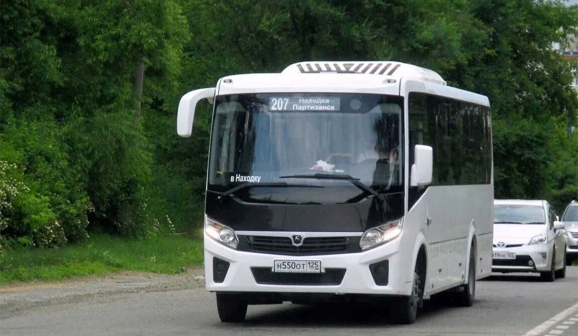 ПАЗ 320455-04. ПАЗ-320455-04 "vector next" (межгород). Автобус ПАЗ вектор Некст. Автобус 207.