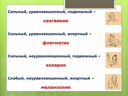 Сангвиник сильный уравновешенный инертный