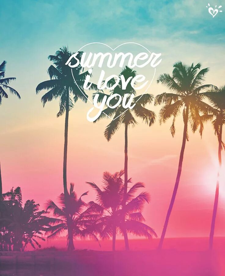 Summer vibes сап. Summer vibes. обои с летним вайбом.