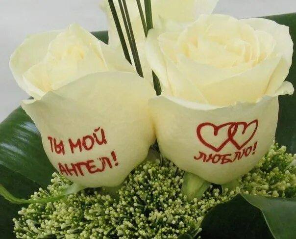 Надписи на цветах. Дарю цветочек. Ромашка цветы. Надпись цветы. Космея карусель 300598.