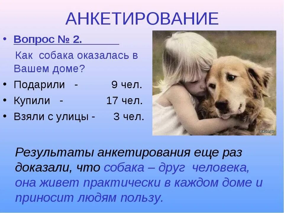 Проект собака друг человека. Проект на тему собака друг человека. Собака лучший друг человека презентация. Доклад собака друг человека.