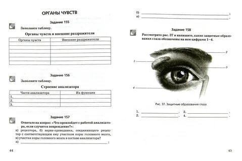 Подпиши органы чувств