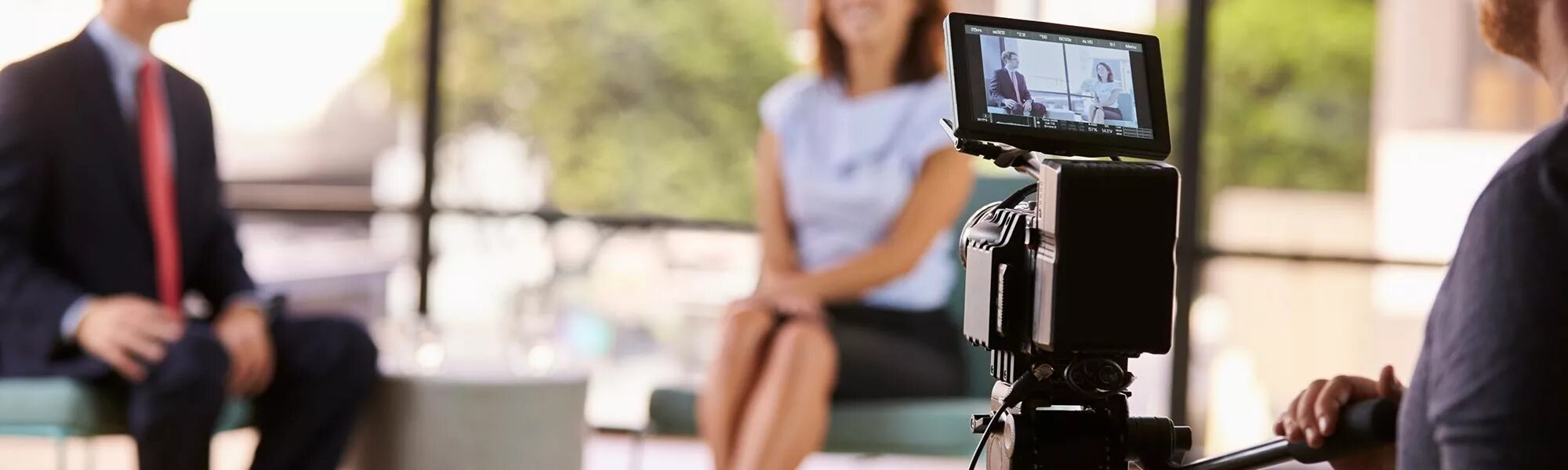 Expert interview