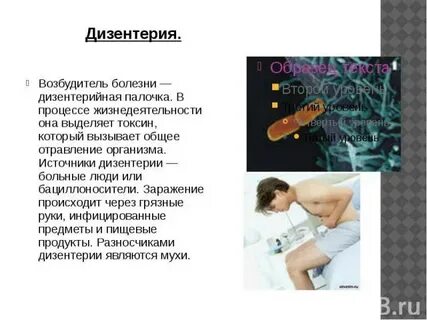 Форум возбудителей