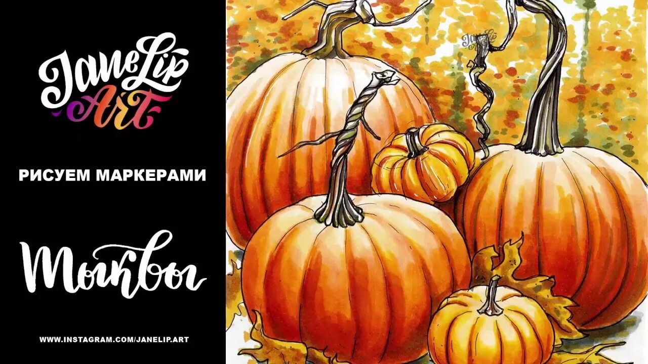 Скетч тыква. Тыква маркерами. тыква скетч маркерами. тыква рисунок маркерами. тыква скетчинг.