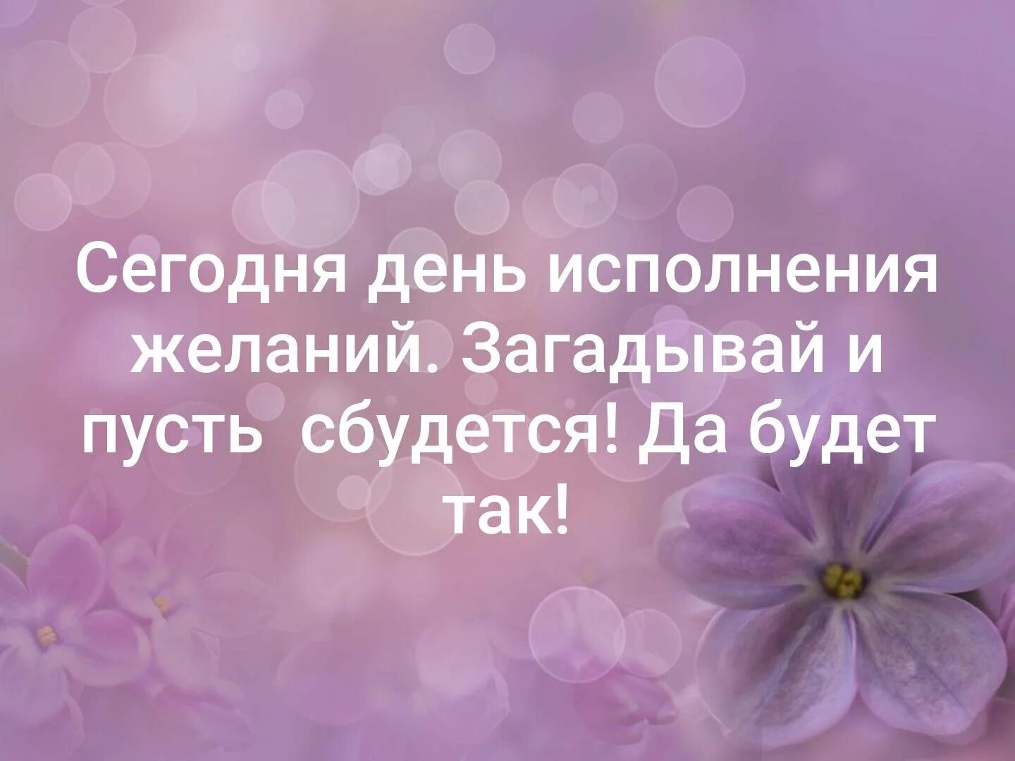 Снова сбывается. День исполнения желаний. Всемирный день исполнения желаний. Сегодня день исполнения желаний. День исполнения желаний 8 ноября.