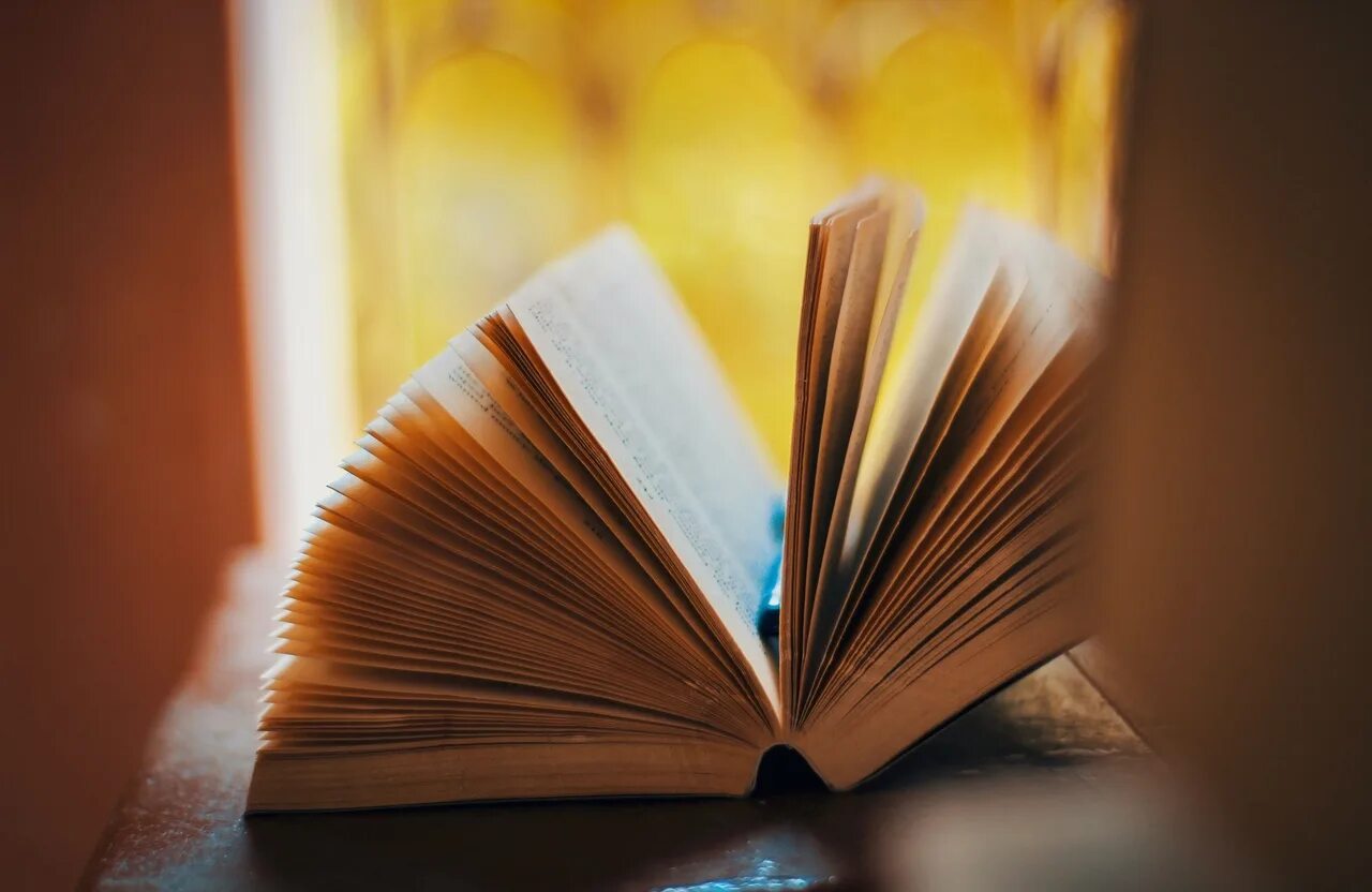 Какую нибудь книгу интересно
