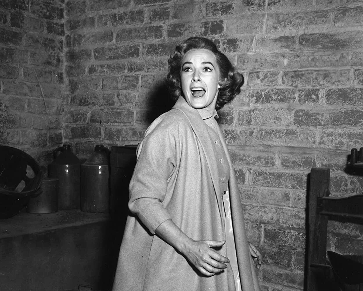 Психо. Вера майлз психо. психо фильм 1960. мари крейн психо. психоз фильм 1960.