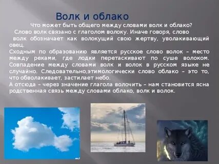 Слова связанные с волком