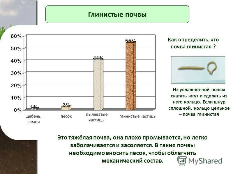 Глинистый определение. Глинистые и суглинистые почвы. Суглинистая почва. Глинистость почвы. Глинистая почва это определение.