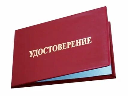Свидетельство размеры