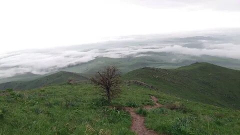 Погода сегодня казыгурт