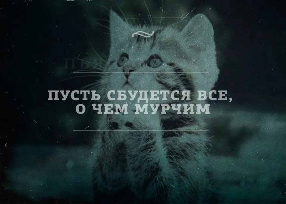 Пусть сбудется!. Пусть сбудется все о чем Мурчим. Пусть все будет замурчательно. Картинка пусть сбудется все о чем мы Мурчим.