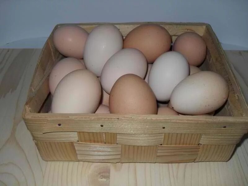 Купить яйцо в мордовии. Домашние яйца. Яйцо домашнее куриное. Продаются домашние яйца. Домашние яйца в ячейка.