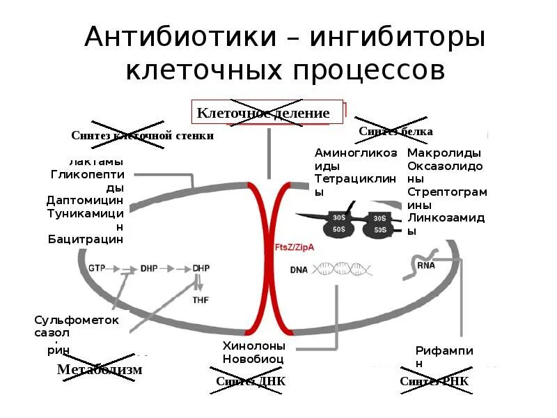 Нарушает синтез белка. Антибиотики ингибирующие Синтез белка. Механизм действия тетрациклинов схема. Механизм действия антибиотиков нарушающих Синтез белка. Ингибиторы синтеза белка антибиотики механизм.