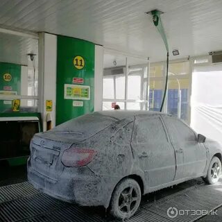 Мойка волжский