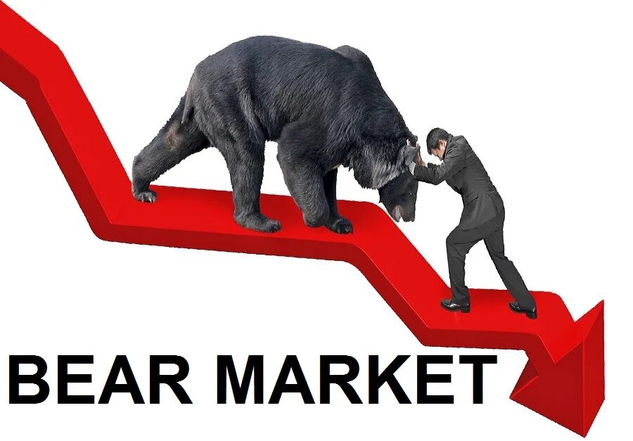 Медведь на рынке изображение. Медвежий рынок медведь. Bear market. Финансы медведь. Bear market.
