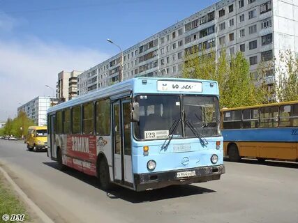 123 автобус волжский 2024