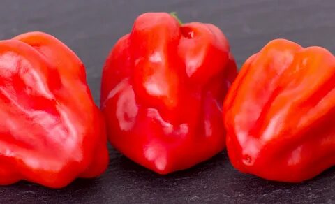 Болгарский перец мужской и женский