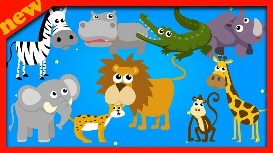 Kids box wild animals