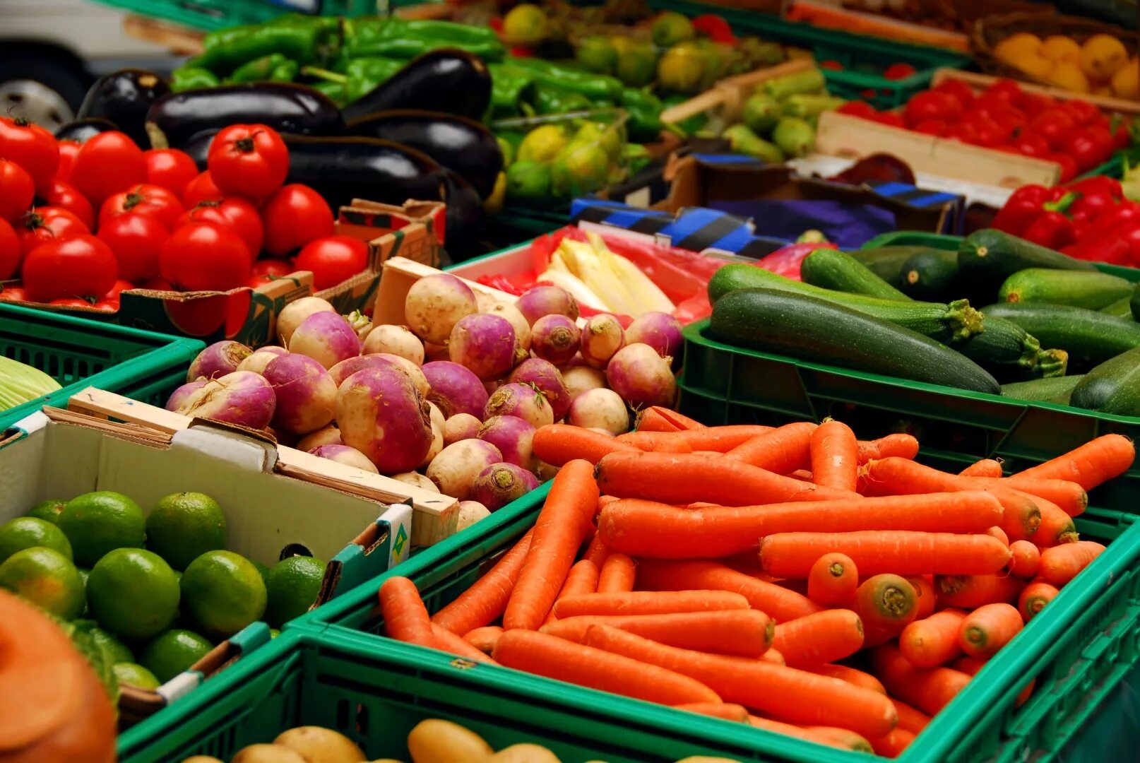 Производителей свежих овощей. Овощные продукты. Овощи на рынке. Ярмарка овощи фрукты. Импортные овощи.
