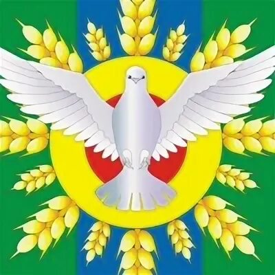 Суздальский сельсовет. Ванышевский сельсовет. Суздальский сельсовет. Суздальский сельсовет. Суздальский сельсовет.