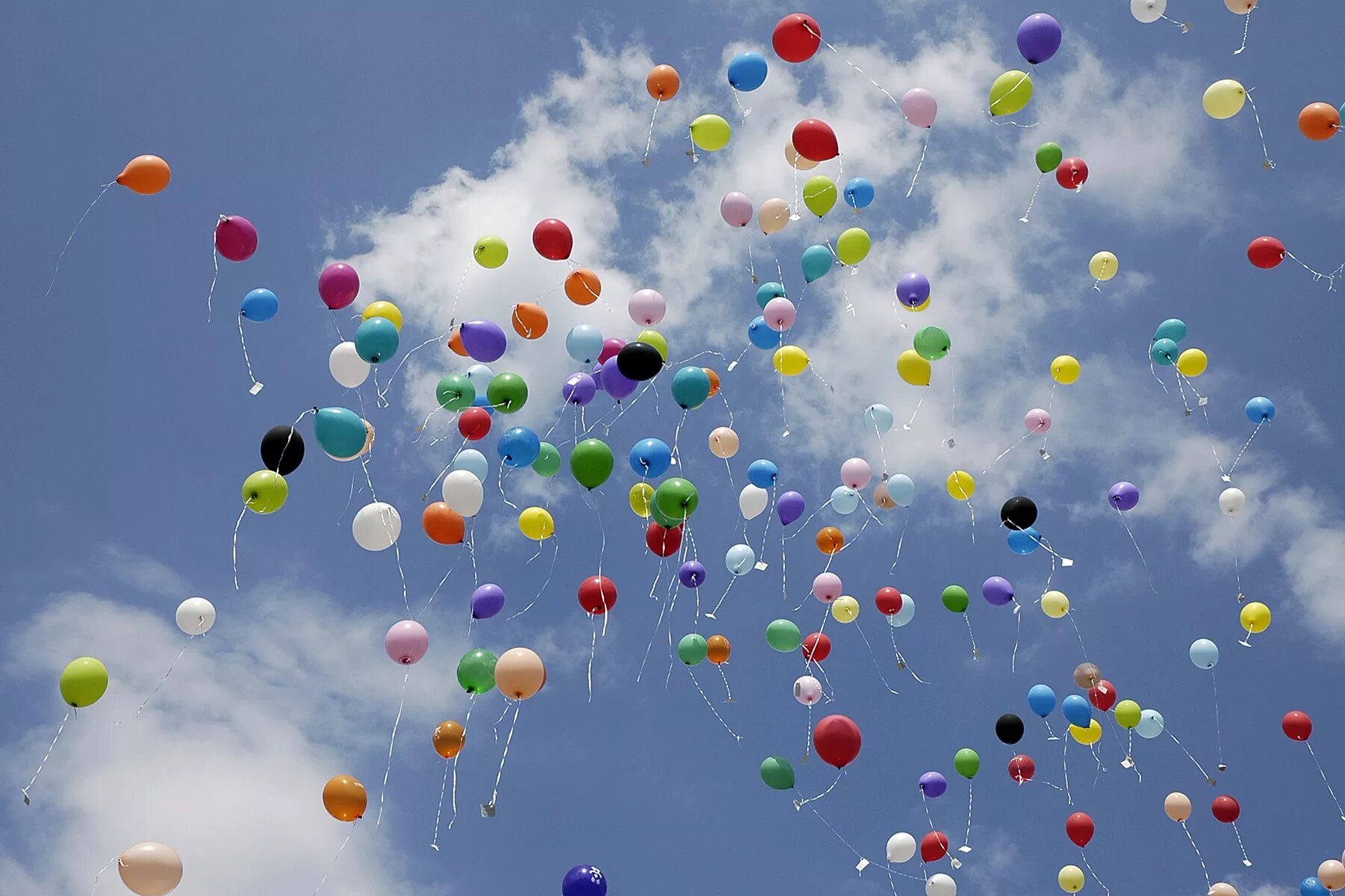 Выпускать в небо воздушные шары с гелием. Шары в небе. Воздушные шары улетают. Шарики в воздухе. Запуск воздушных шаров в небо.