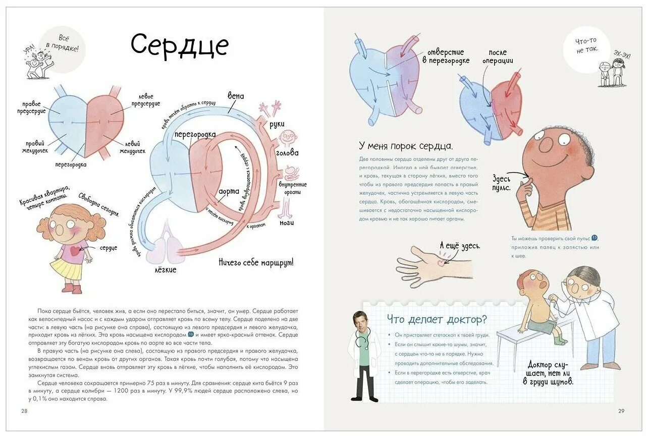 Секреты организма человека. Секреты человеческого тела книга. Секреты организма человека. Энциклопедия с развивающими заданиями 100 тайн нло. Секреты организма человека.