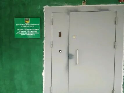 Краевое государственное казенное учреждение