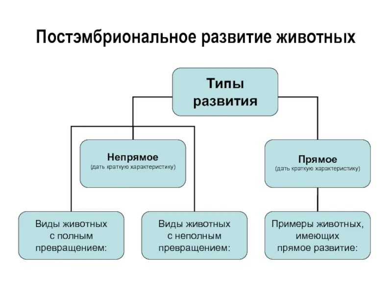 Назовите типы развития животных. Типы постэмбрионального развития животных. типы постэмбрионального развития схема. типы пост эмбрионального развития. пост эмбриональный период развития схема.