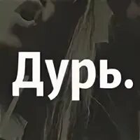 Только по дури