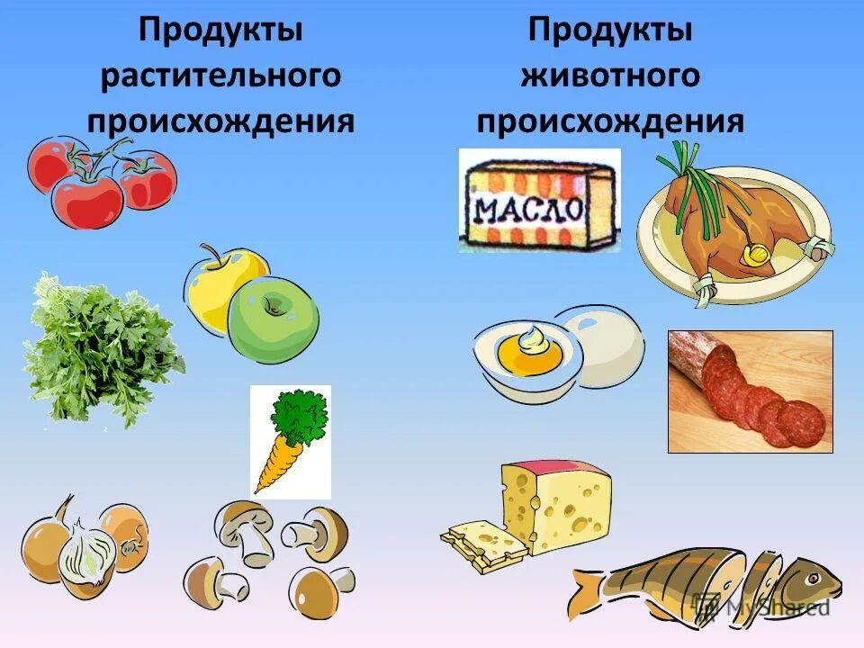 растительные и животные продукты. растительное происхождение окружающий мир 2 класс. растительные и животные продукты 2 класс. таблица продуктов животного и растительного происхождения. продукты растительного происхождения и животного происхождения.