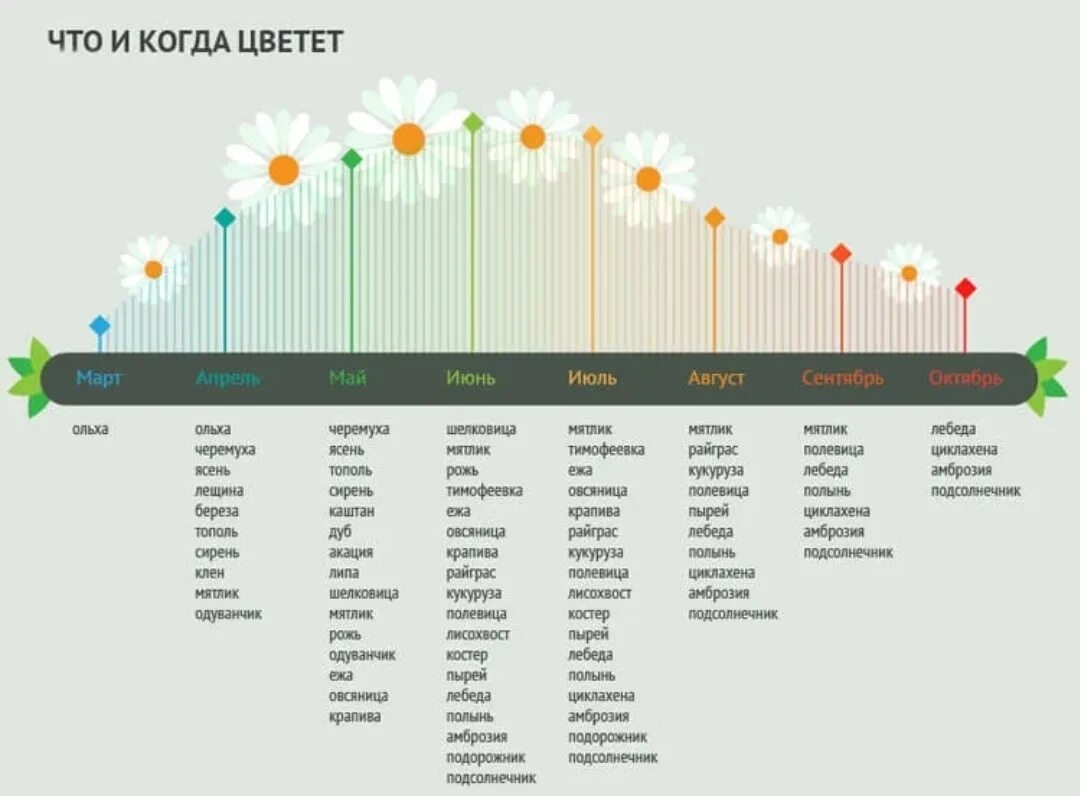 Пыльца апрель. Календарь цветения растений. Календарь аллергика. Период цветения растений для аллергиков. Календарь цветения для аллергиков.