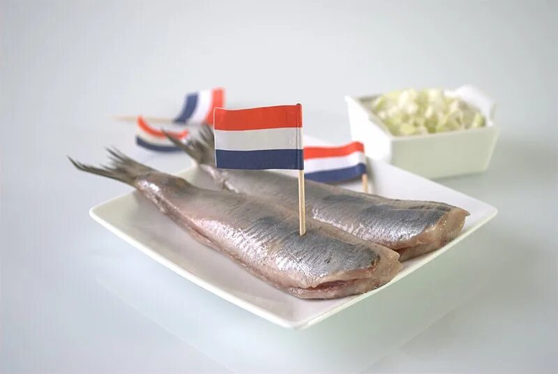 Рыба голландии