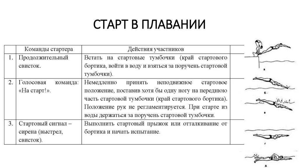 Двигательное действие определяющее высоту и длину полета. Двигательное действие определяющее высоту и длину полета
