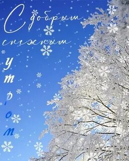 Сахарный февраль