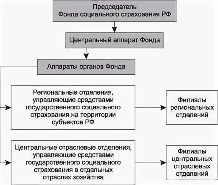 Структура ФСС РФ схема. Структура фонда социального страхования Российской Федерации схема.